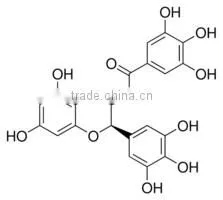 T-full EGCG - Our Key Product photo-3