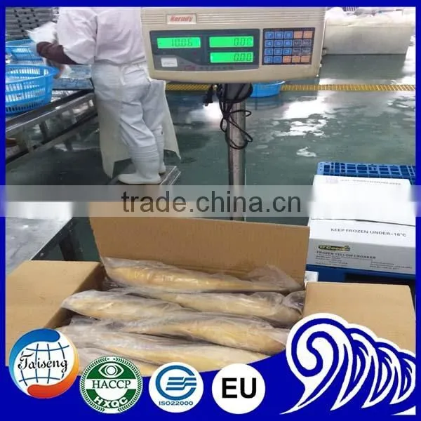Export Frozen Whole Small Yellow Croaker Fish photo-2