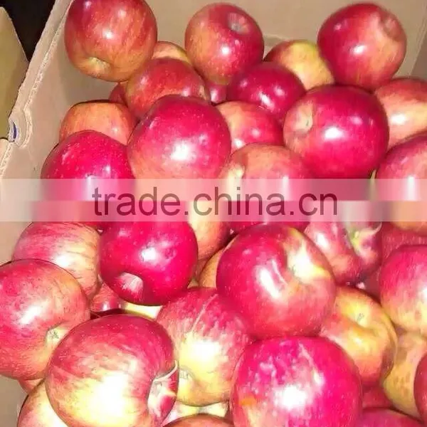 Fresh Apples photo-5