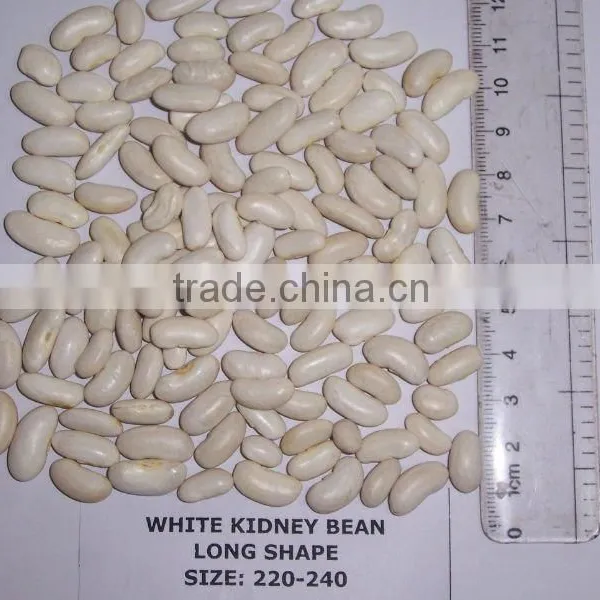 Dry White Kidney Bean photo-2