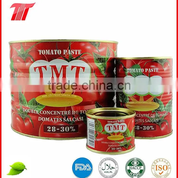 Canned Tomato Paste With All Size photo-2