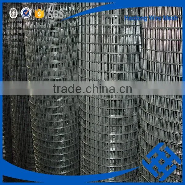 Factory Price 1/4 Inch Galvanized Welded Wire Mesh photo-3