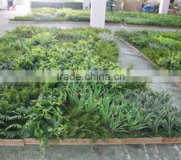 Russia's Project of Artificial Green Wall/park and Shopping Mall Plant Green Wall photo-4