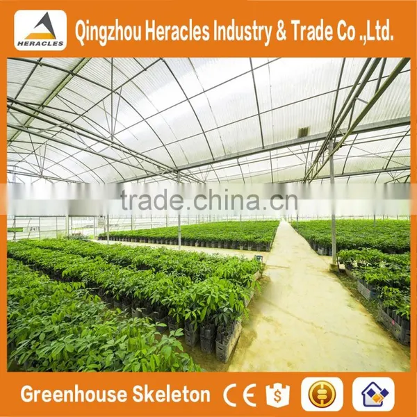 Heracles Trade Assurance Agricultural Tunnel Greenhouse photo-2