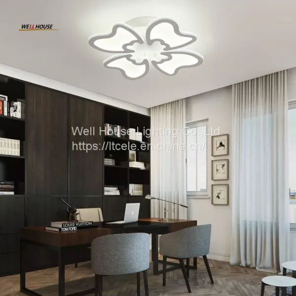 Ceiling Lights For Living Room Bedroom Home Dec Lighting Lamparas de Techo Modern Led Ceiling Lamp