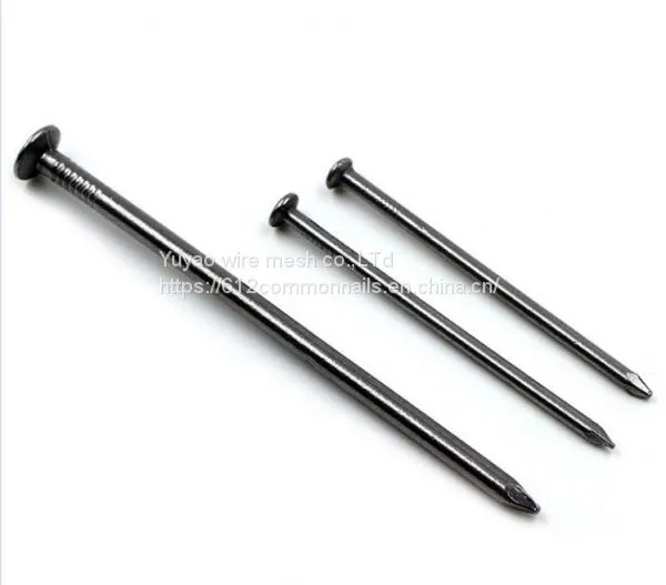 Polished Common Nails in Sale photo-3