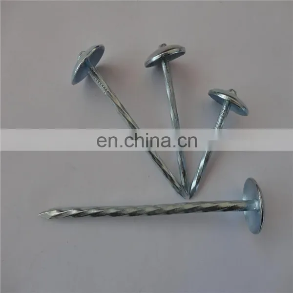 Steel Brad Wire Nail From China Factory photo-4