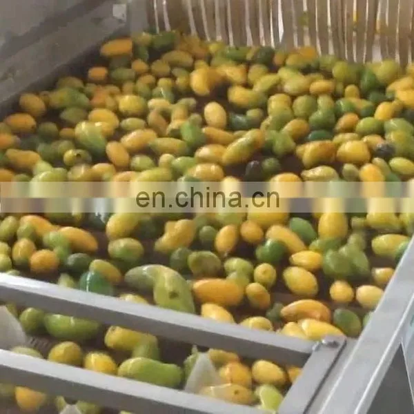 Mango Pulp Full Line Machine AutoOrange Mango Juice Liquid Washing and Filling Machine Line photo-2