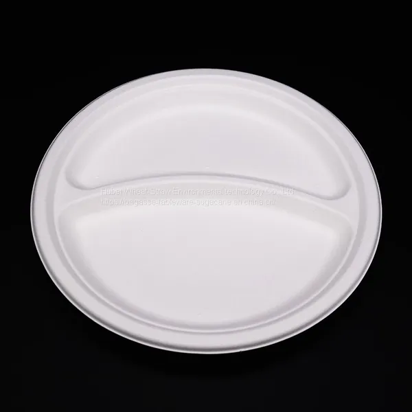 Disposable Biodegradable 9INCH 2C PLATE Take Away Sugarcane photo-3