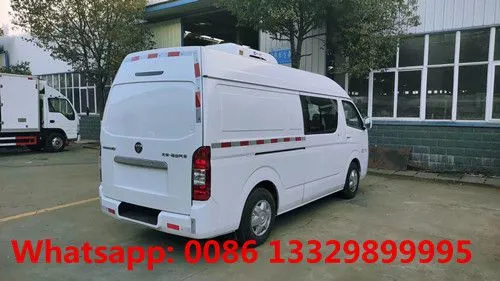 Customized FOTON G7 Double-cab 0.5T Refrigerated Minivan Car for Sale photo-3