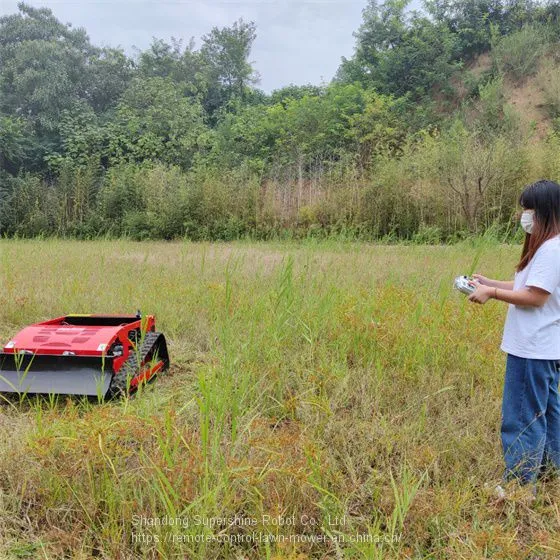 Track Mower, China Remote Controlled Brush Cutter Price, Wireless Robot Mower for Sale photo-2