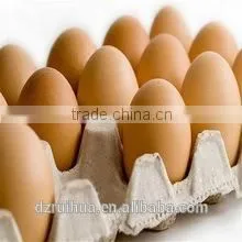 30 Holes Egg Trays photo-2