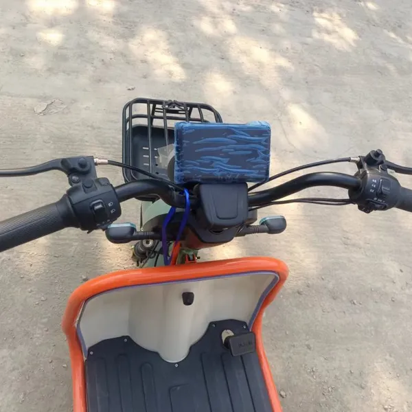 Hot Sale Cheap Foldable 3 Wheel Motorcycle Usa Electric Tricycle Passenger and Cargo Car photo-5
