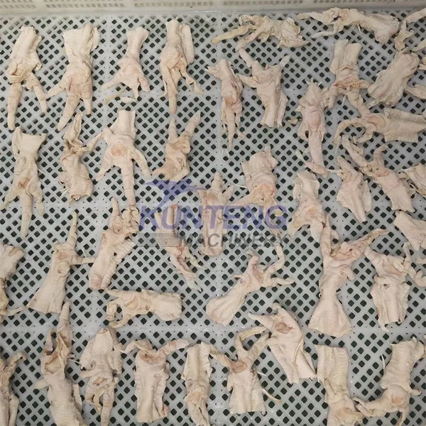 Food Dehydrator Meat Drying Machine Beef Jerky RABBITS Chicken Paw Fish Shellfish Dryer EPC photo-2