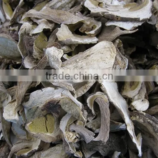 Top Quality of Dried Porcini Mushroom photo-3