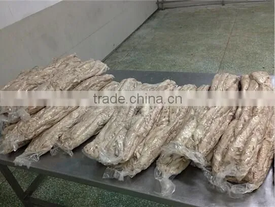 Frozen Precooked Vacuum Packing Bonito Lion and Auxis Thazard photo-3