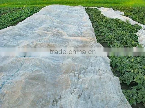 PP Agriculture Non-woven Crop Cover photo-2