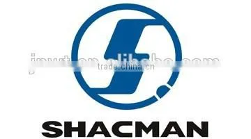 SHACMAN Truck Parts From Jinan Wentang photo-3