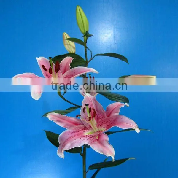 Fresh Cut Flowers Lily Flower photo-5