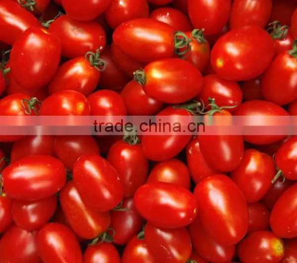 Multifunction Fruit Size Sorting and Grading Machine photo-3
