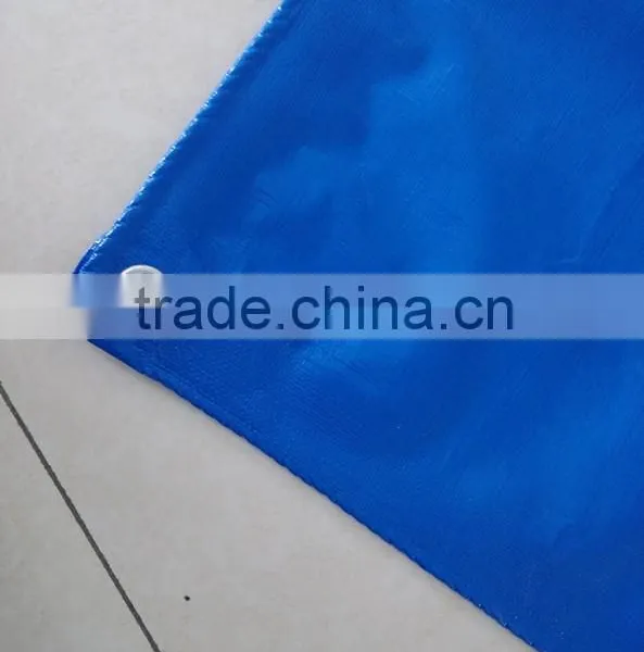 Various Virgin Material Colorful pe Tarpaulin Fabric