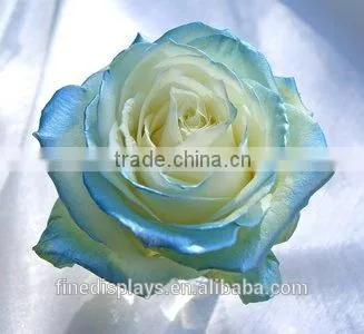 BABY BLUE SATIN ACRYLIC SMALL SQUARE BOX photo-2