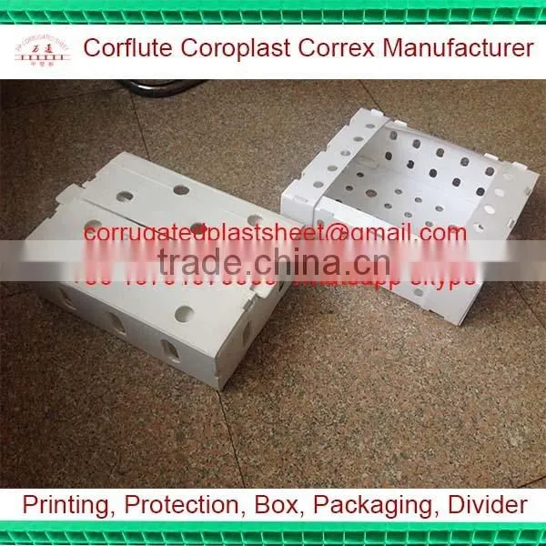 pp Plastic Corflute Oyster Tray photo-2