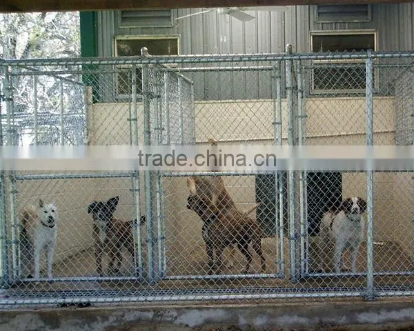 Large Dog Houses for Sale photo-5