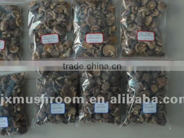 New Crop 4-5cm Dried Smooth Shiitake