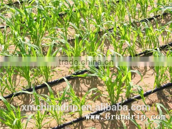 Drip Tape Irrigation Line 16mil Trickle Soaker Garden Hose Trickle Tape photo-3
