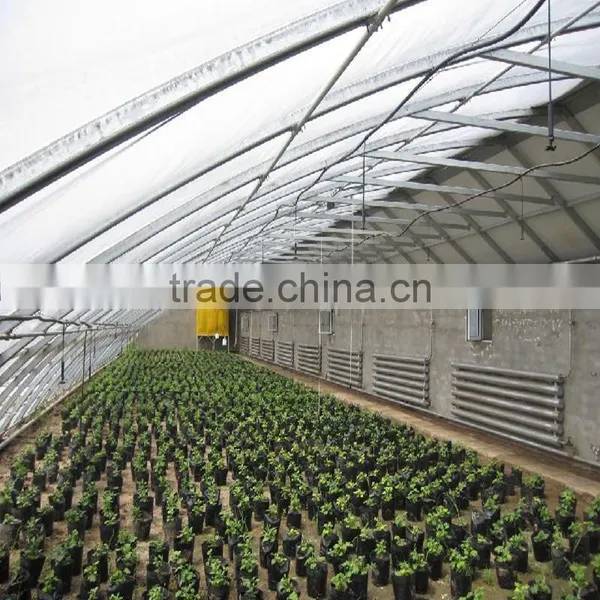 Vegetable Greenhouse Polycarbonate Sheet Fim photo-5