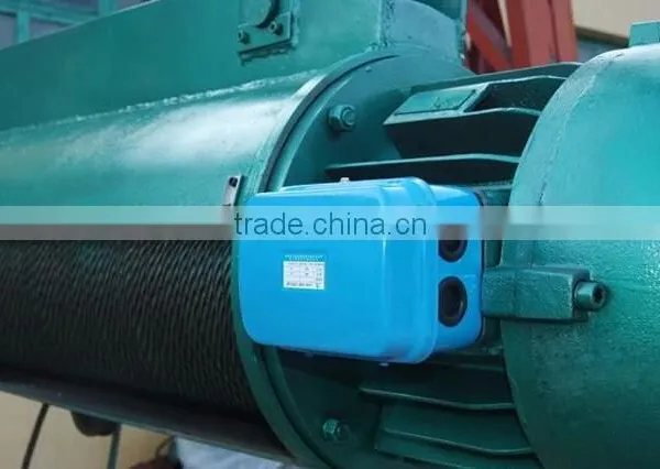 China Supplier Electric Wire Rope Hoist With Competive Price photo-4