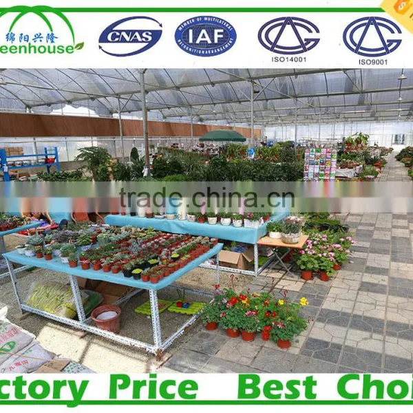 Horticultural Glass Greenhouses photo-5