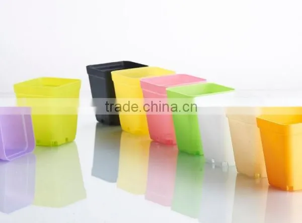 Plastic Colorful Small Square Flower Pots Without Pallet -3 Inch photo-5