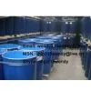 Tomato Paste Manufacturer