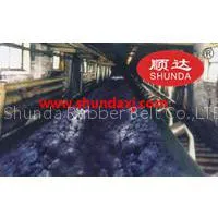 Acid, Alkali Resistance Conveyor Belt