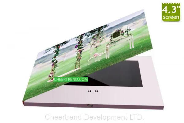 TV&Movie Character Theme and Artificial Style Lcd Video Player Brochure photo-2