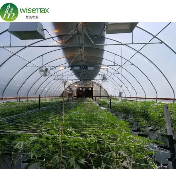 Easily Installed Galvanized Steel Frame Fully Automated Light Deprivation Greenhouse photo-3