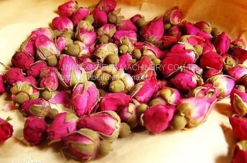 Hign Quality Rose Drying Equipment photo-5