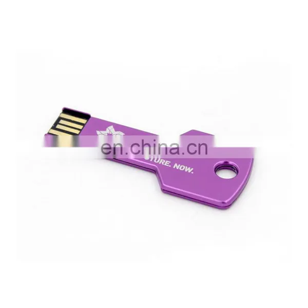 Promotional USB Stick 8GB 16GB 32GB Custom Logo Key Branded USB Flash Drives photo-5