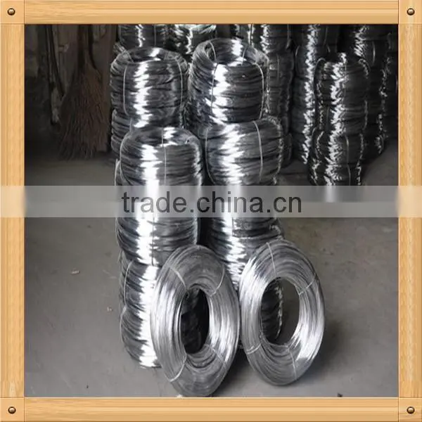 Electro Galvanized Wire photo-2