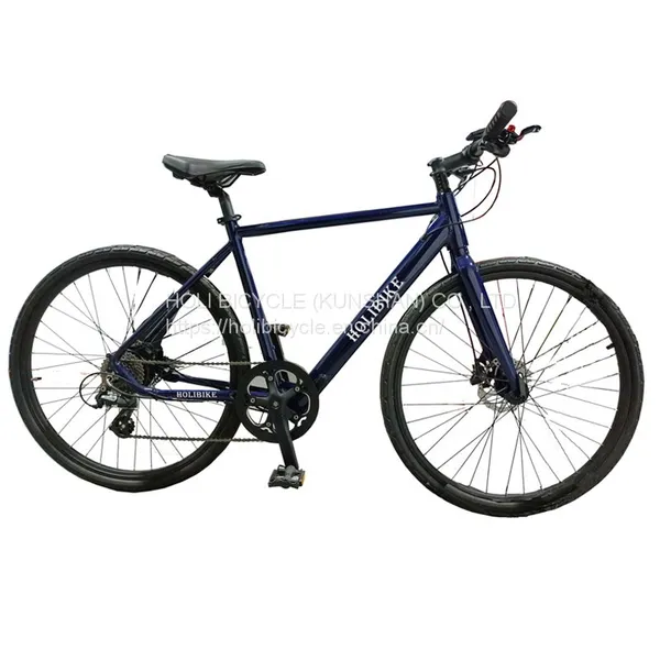 MTB Ebike Lithium Battery Aluminum Alloy Mountain Electric Bike 700c Electric Bicycle