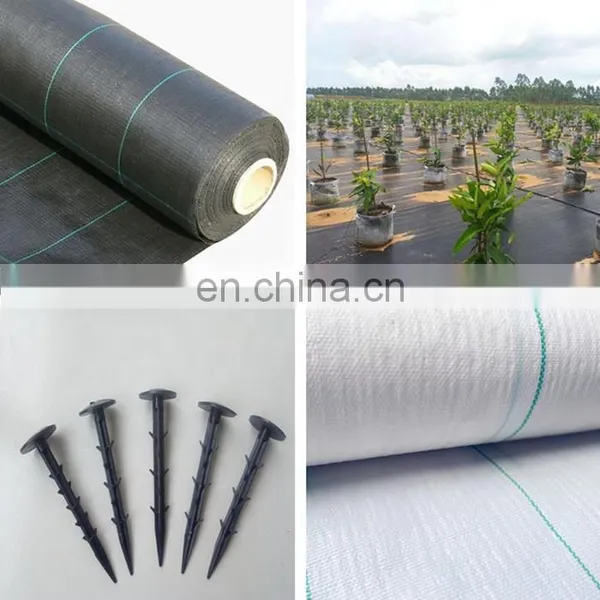 Manufacture 90-110gsm Direct PP Weed Mat Ground Cover Greenhouse Agriculture photo-2