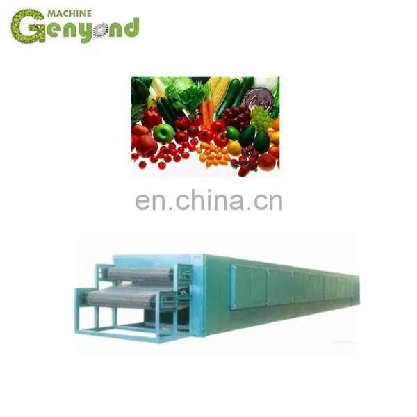 Hot Sale Fruit Drying Line for Dehydrated Fruit photo-3