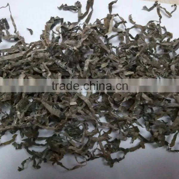 AD Drying Process and Seaweed Product Type Seaweed, Laminaria, Kelp