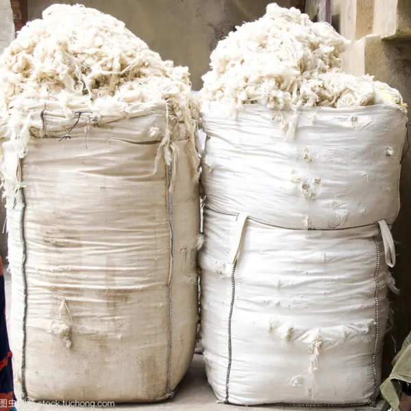 Raw Cotton photo-2