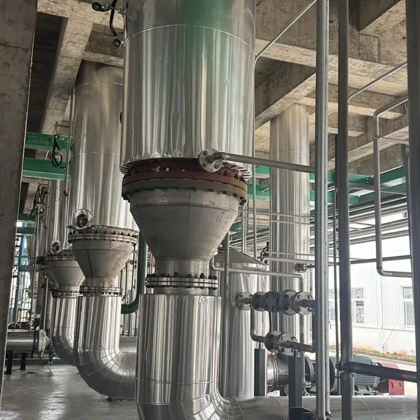 Industrial Multi-Effect Evaporation Crystallization System for Barium Chloride Production