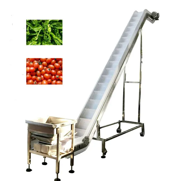 Automatic Inclined Conveyor for Frozen Vegetables Fresh Fruits Lifting Conveyor