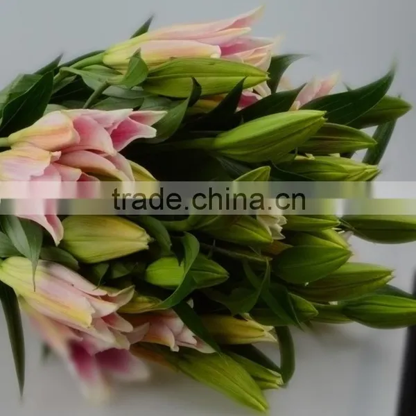New Sorbonne Export Lilies Fresh Cut Flowers photo-4