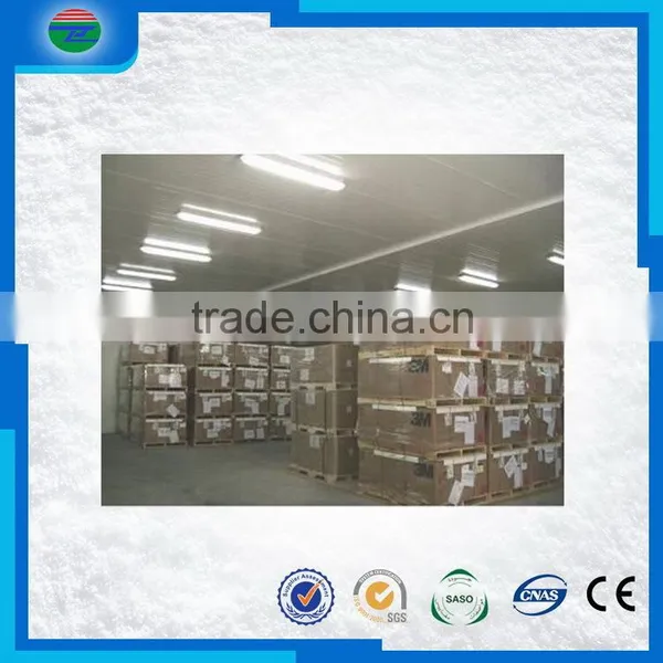 Most Popular Creative Super Quality Fish Cold Freezer/fish Blast Freezer/cold Storage/cold Room photo-6